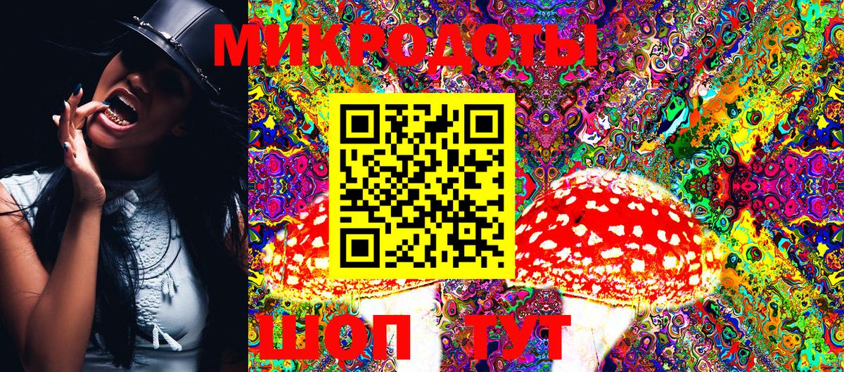 Псилоцибиновые грибы GOLDEN TEACHER Евпатория